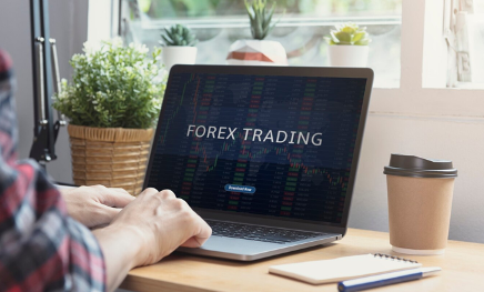 Best Forex Trading Platforms